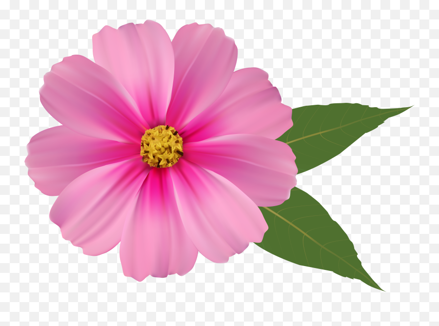 Pink Flower Png Pink Flower Png Transparent Free For - All Flower Hd Png Emoji,Pink Flower Emoji