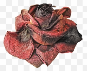 Dead Rose Png Picture - Save Me From Heartbreak Emoji,Dead Flower Emoji