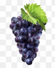 Black Grapes Png Clip Art Image - Grapes Png Emoji,Grape Emoji