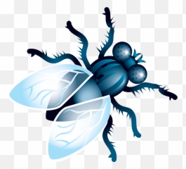 Fly Clipart Png - Emoji