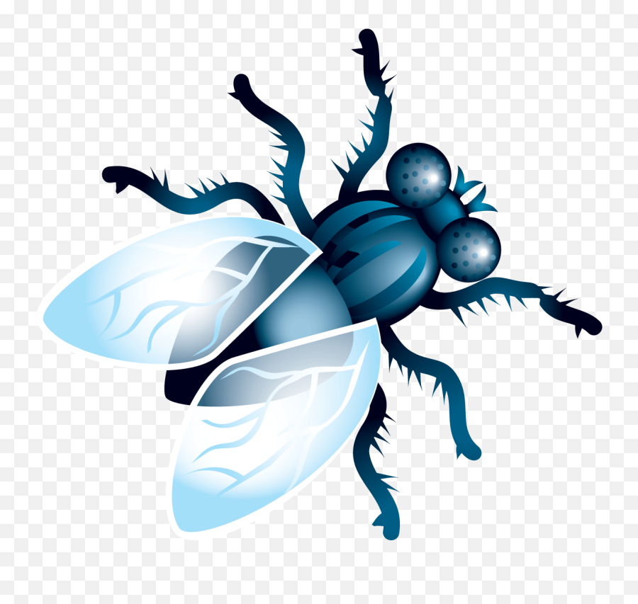 Fly Clipart Png - Fly Clipart Png Emoji,Venus Fly Trap Emoji