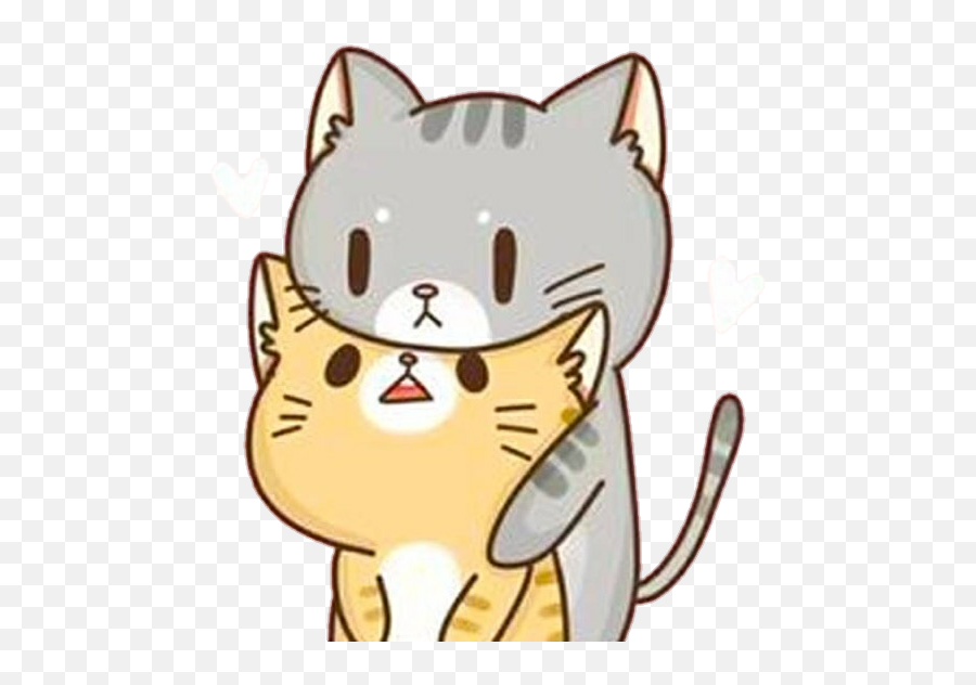 Fretoedit Cat Cats Kawaii Cute Cutecat Cuteanimals - Cute Cat Kawaii Png Emoji,Cute Cat Emoji