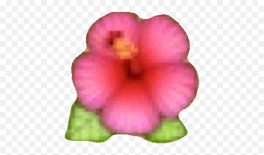 Flower Prince Charles Princess Diana - Hibiscus Flower Emoji Png,Plur Emoji