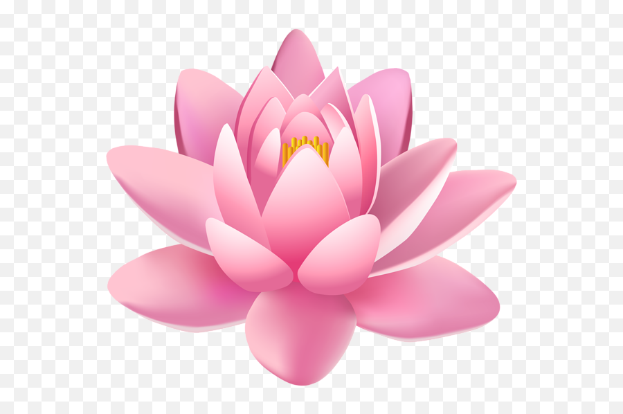 Lotus Flower Png - Lily Pad Flower Clipart Emoji,Lily Pad Emoji