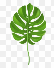 Tropical Leaf Clipart Png - Clip Art Palm Leaf Emoji,Leaf Emoji Transparent