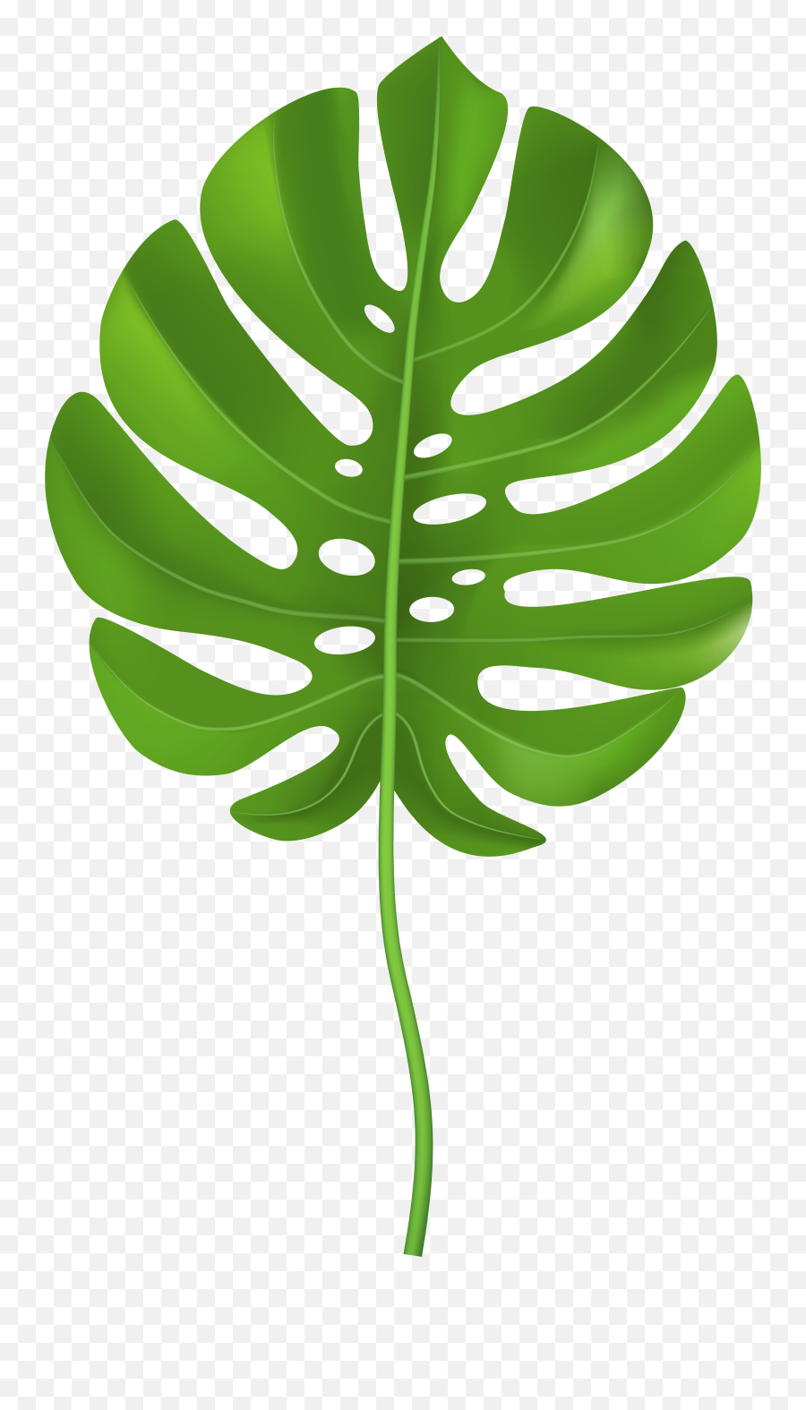Tropical Leaf Clipart Png - Clip Art Palm Leaf Emoji,Leaf Emoji Transparent