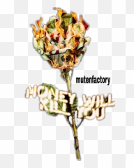 Popular And Trending Dollar Stickers On Picsart - Cisco Router 2801 Emoji,Hunnid Emoji