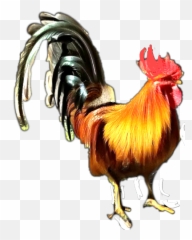 The Newest poule Stickers on PicsArt - Rooster Emoji