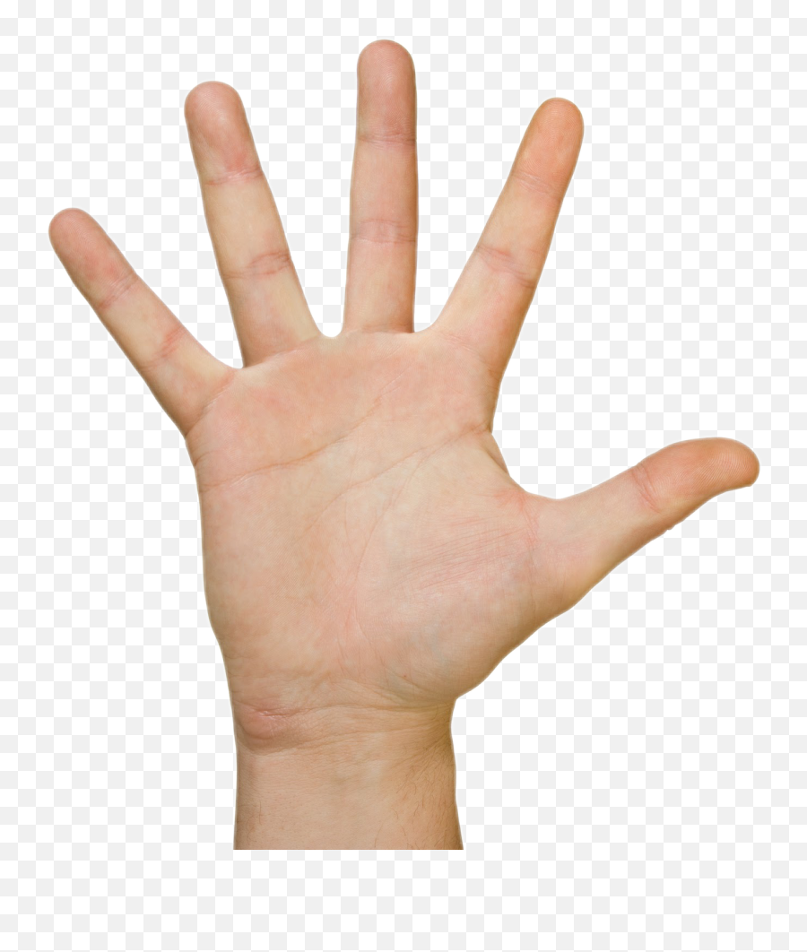 Popular And Trending Palm - Hand Palm Emoji,Hand Palm Emoji