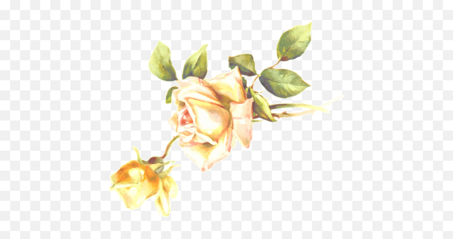 Gelbe Rosenblüten - Rose Emoji,Roses Emoticon