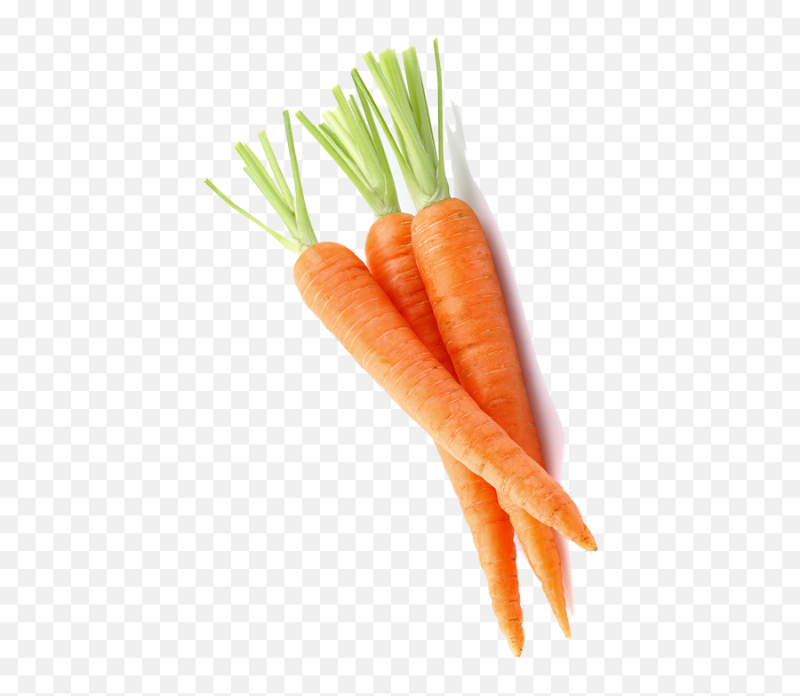 Shrimp - Carrot With Shadow Png Emoji,Carrot Emoji