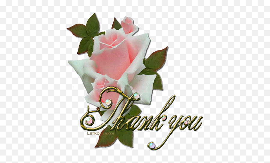 Thank You For Following Me And Sharing Beautiful Pins Have - Thank You With A Rose Gif Emoji,Boquet Emoji