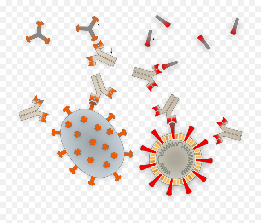 How Coronavirus Hijacks Your Cells - The Chat Bar Nsaneforums Life Cycle Corona Virus Emoji,Aum Emoji