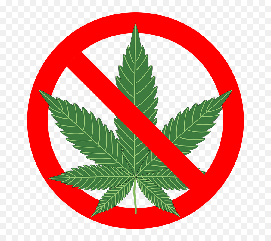 Cannabis Hemp Leaf - No Cannabis Png Emoji,Pot Leaf Emoji