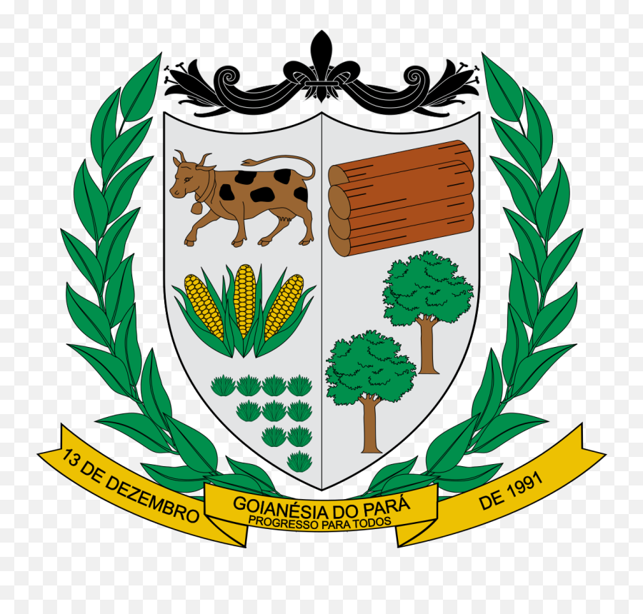 Brasão De Goianésia Do Pará - Alcaldia De Sabanalarga Casanare Emoji,Brazil Flag Emoji