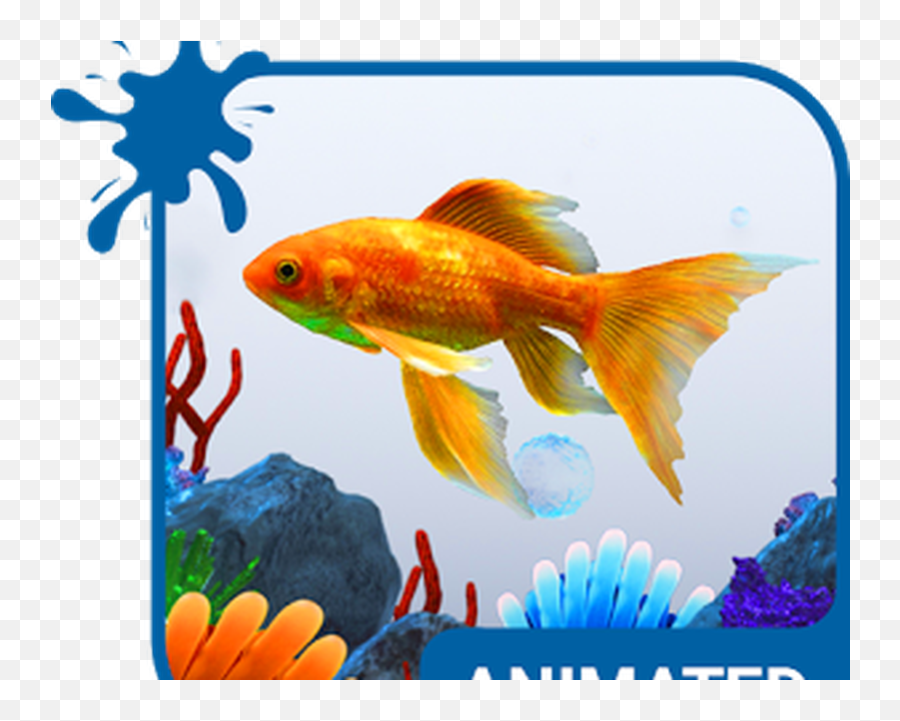 Aquarium Animated Keyboard Android - Goldfish Emoji,Android Wave Emoji