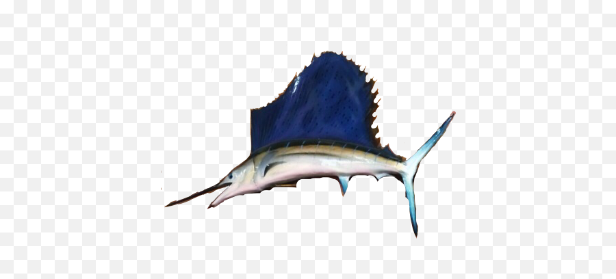 Swordfish Marlin Fish Sealife Freetoedit - Atlantic Blue Marlin Emoji,Swordfish Emoji