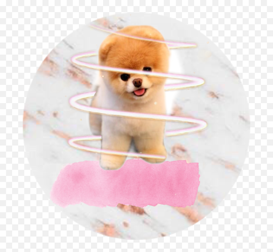 Popular And Trending Jiffpom Stickers On Picsart - Shiba Inu Emoji,Jiffpom Emoji