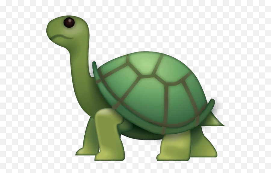Turtle Emoji Download Ios - Iphone Turtle Emoji Png,Turtle Emoji