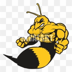 Honey Bee Muscular Clipart Images - Cool Fighting Emoji,Louisiana Creole Flag Emoji