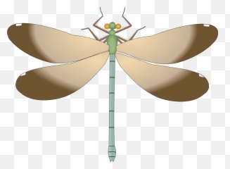 Dragonfly Svg Transparent Png Clipart - Dragonfly Emoji,Dragonfly Emoji