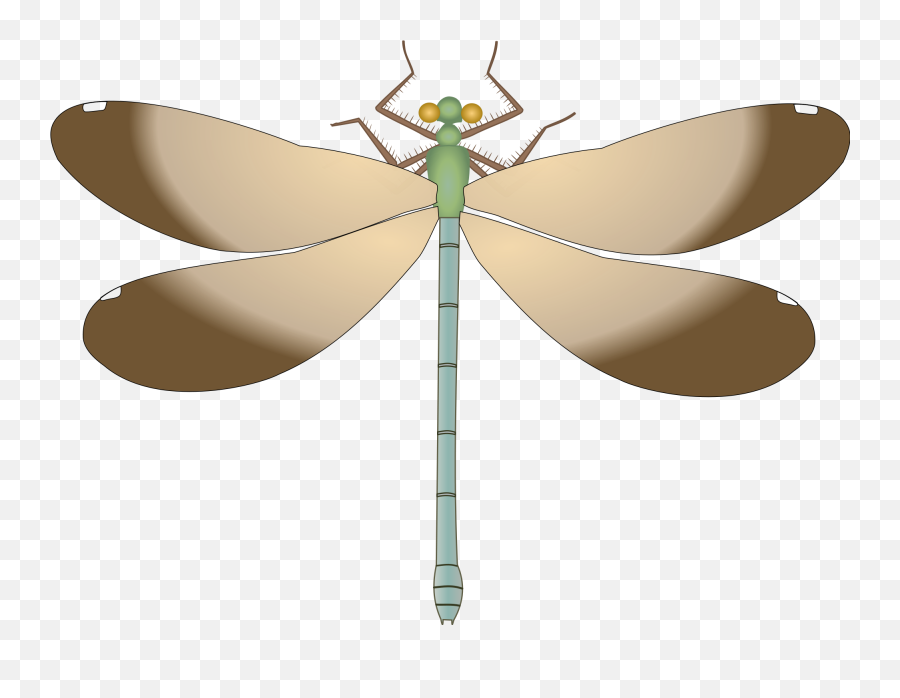 Dragonfly Svg Transparent Png Clipart - Dragonfly Emoji,Dragonfly Emoji