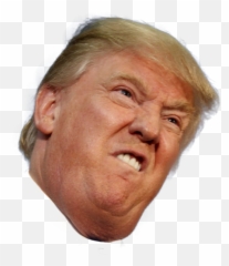 Chin Clipart Transparent Chin - Donald Trump Face Transparent Background Emoji,Double Chin Emoji
