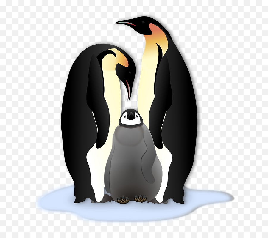 Free Cold Winter Vectors - Penguin Family Clipart Emoji,Penguin Emoticon
