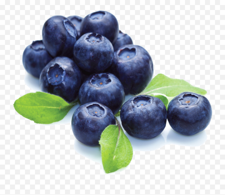 Blueberry Clipart Huckleberry Blueberry Huckleberry - Transparent Background Blueberries Png Emoji,Blueberry Emoji
