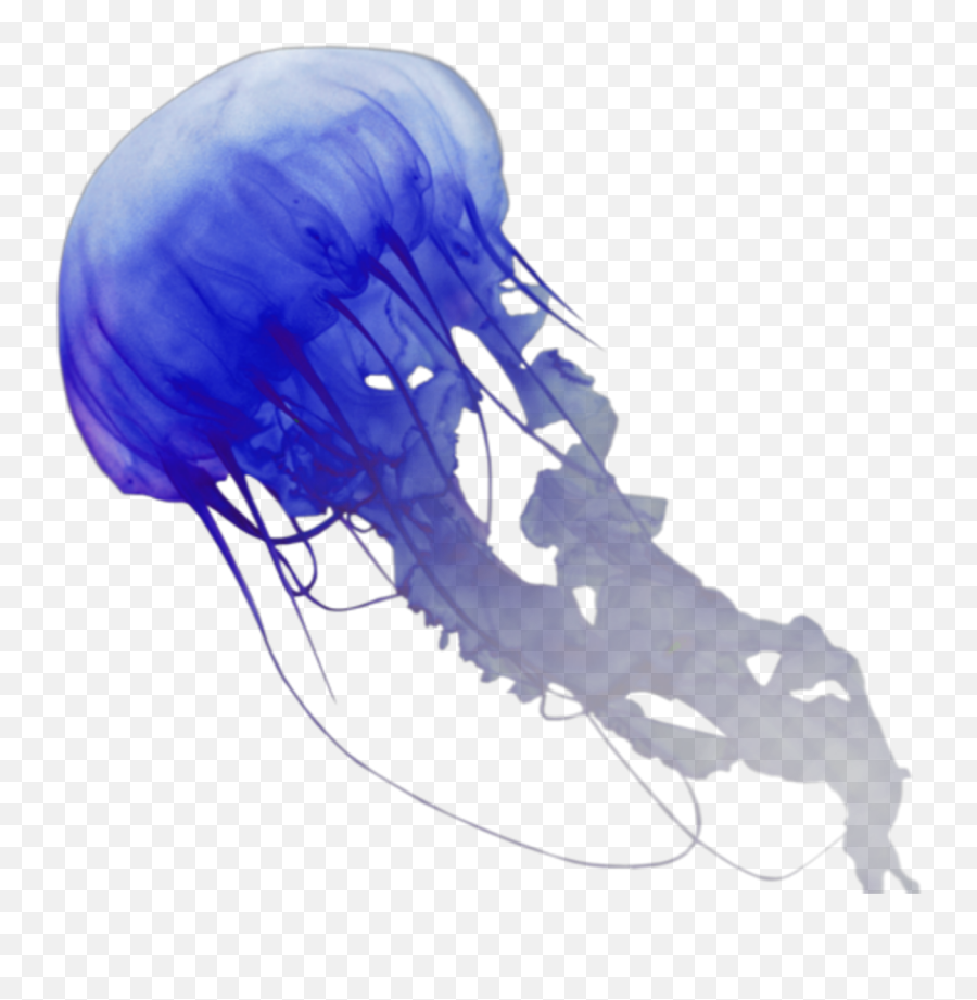 Jellyfish - Illustration Emoji,Jellyfish Emoji
