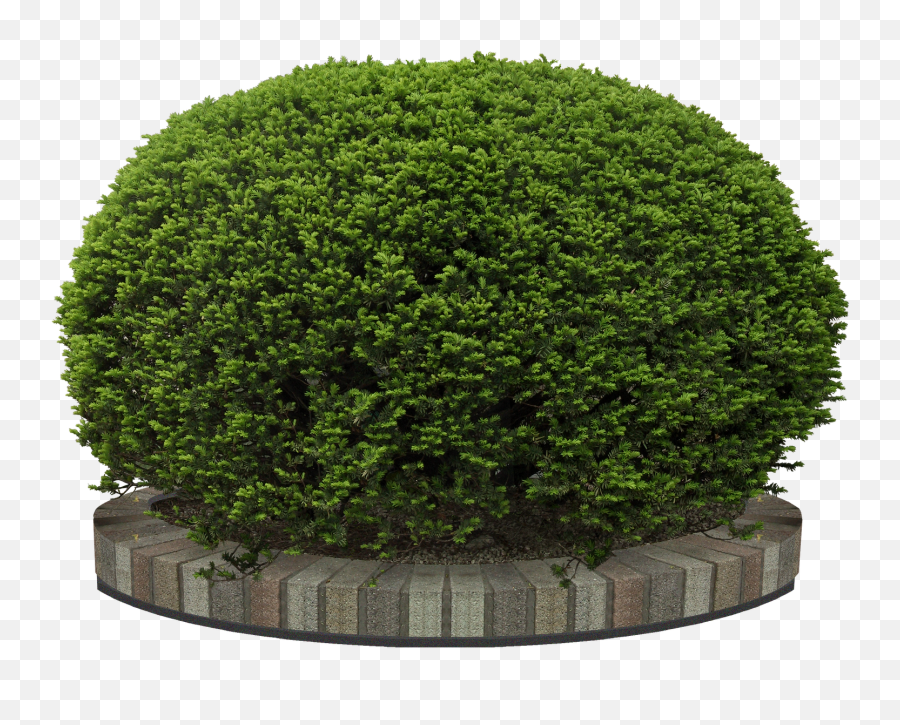 Ftestickers Landscape Garden Shrub Hedge - Transparent Garden Tree Png Emoji,Shrub Emoji