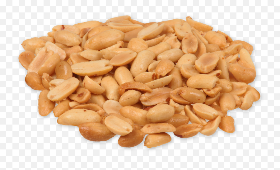 Peanuts Clipart Groundnut Peanuts Groundnut Transparent - Legumes Png Transparent Emoji,Peanuts Emoji