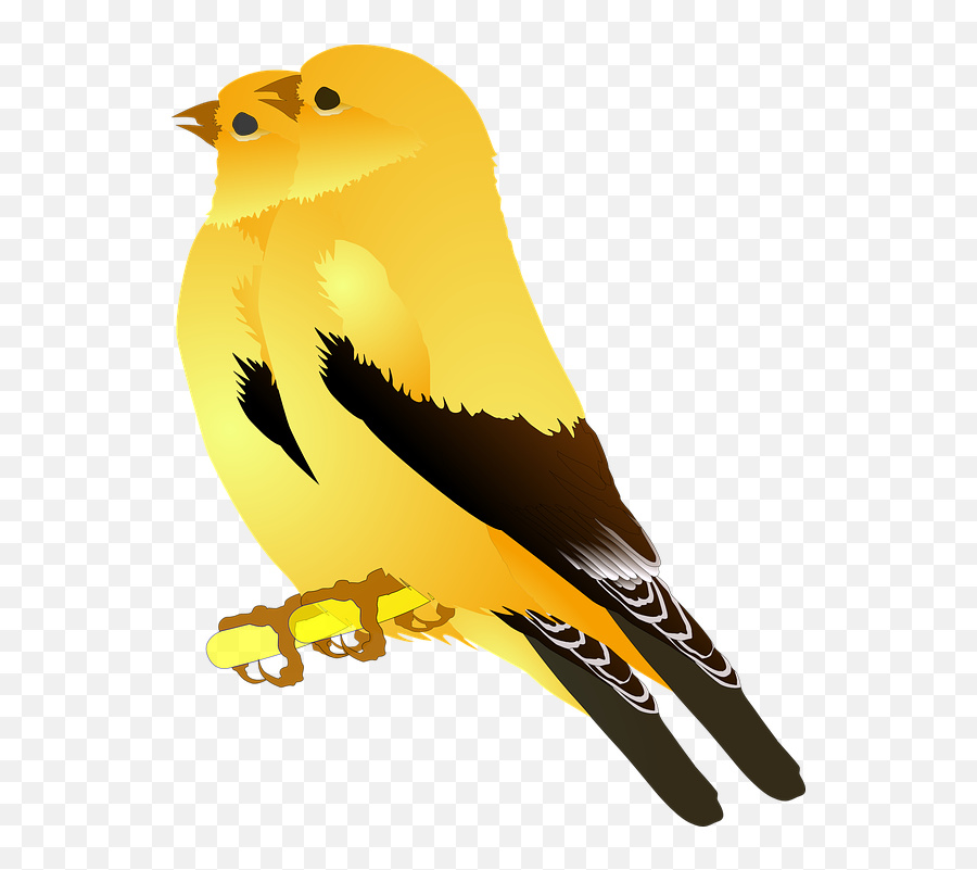Free Singing Microphone Vectors - Gold Finch Emoji,Flip Bird Emoticon