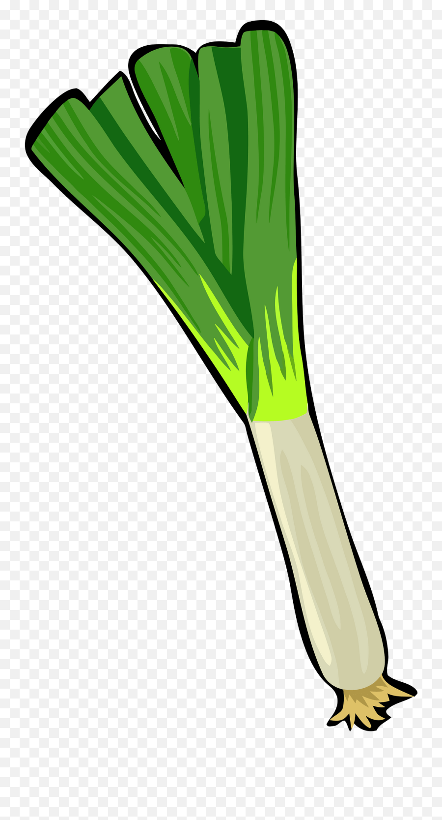 Spring Onion Clipart Leek Clipart Emoji,Onion Emoji free