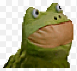 Top Mlg Frog Stickers For Android U0026 Ios Gfycat - Gif Dancing Frog Meme Emoji,Mlg Emoji