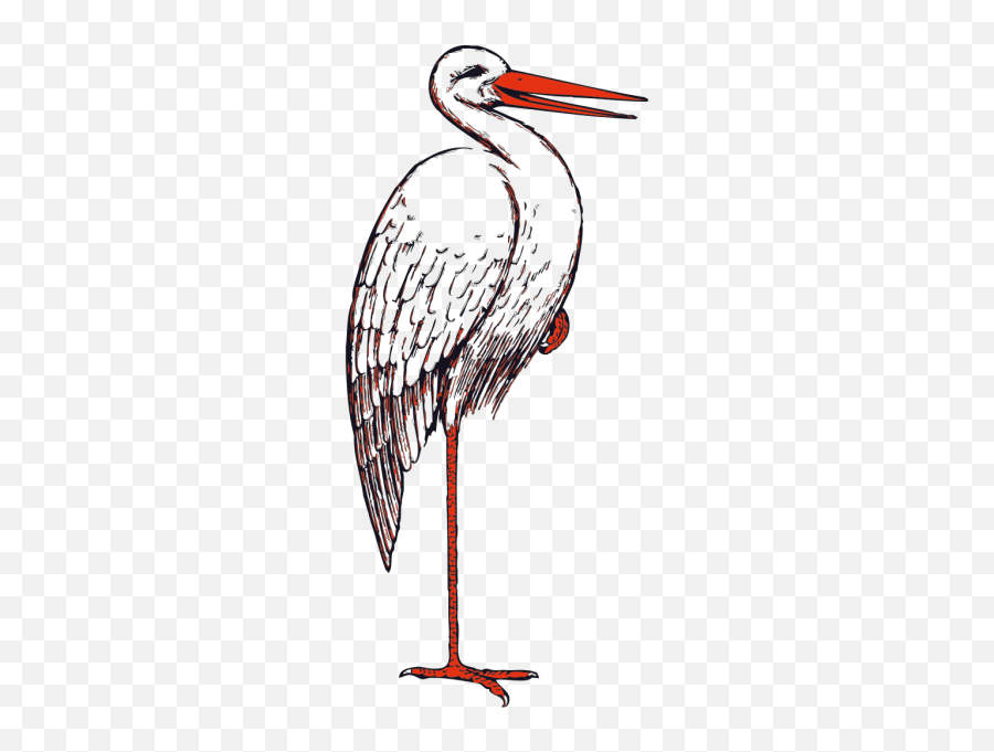 Stork In Color Png Svg Clip Art For - Beak Stork Clipart Emoji,Stork Emoji