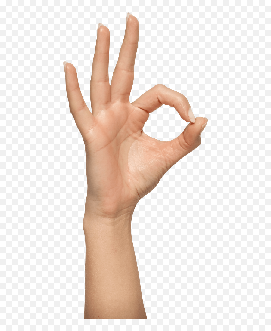 Fun Pics Images - Transparent Ok Hand Png Emoji,Three Finger Emoji
