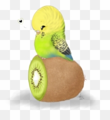 I Now - Muhabbet Kuu Ku Çizimleri Emoji,Parrot Emoji Iphone