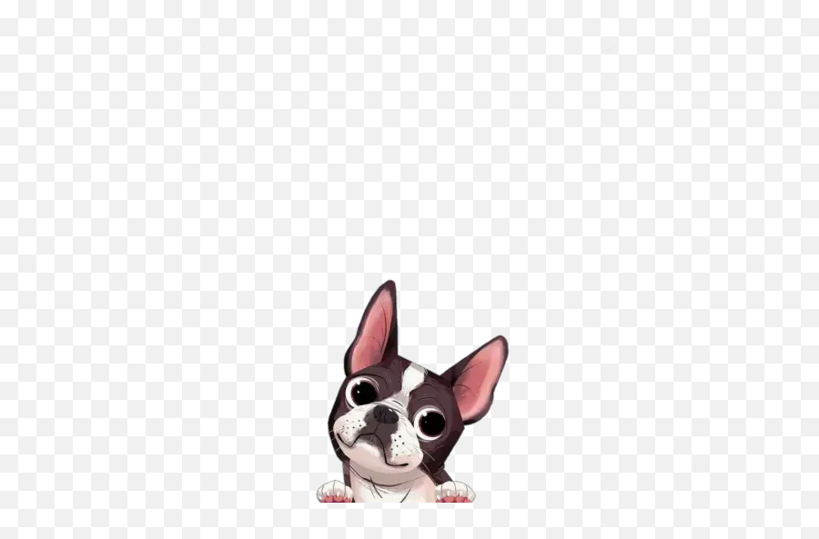 Mixed - Cartoon Drawing Boston Terrier Cartoon Emoji,French Bulldog Emoji