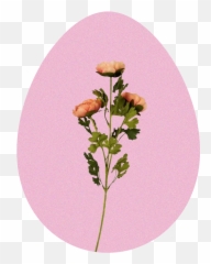 Woman Buys Elderly Couple Groceries - Red Clover Emoji