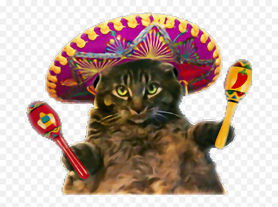 Cat Cincodemayo Maracas Sticker By Angie Nelson - Crying Cat With Sombrero Emoji,Maracas Emoji