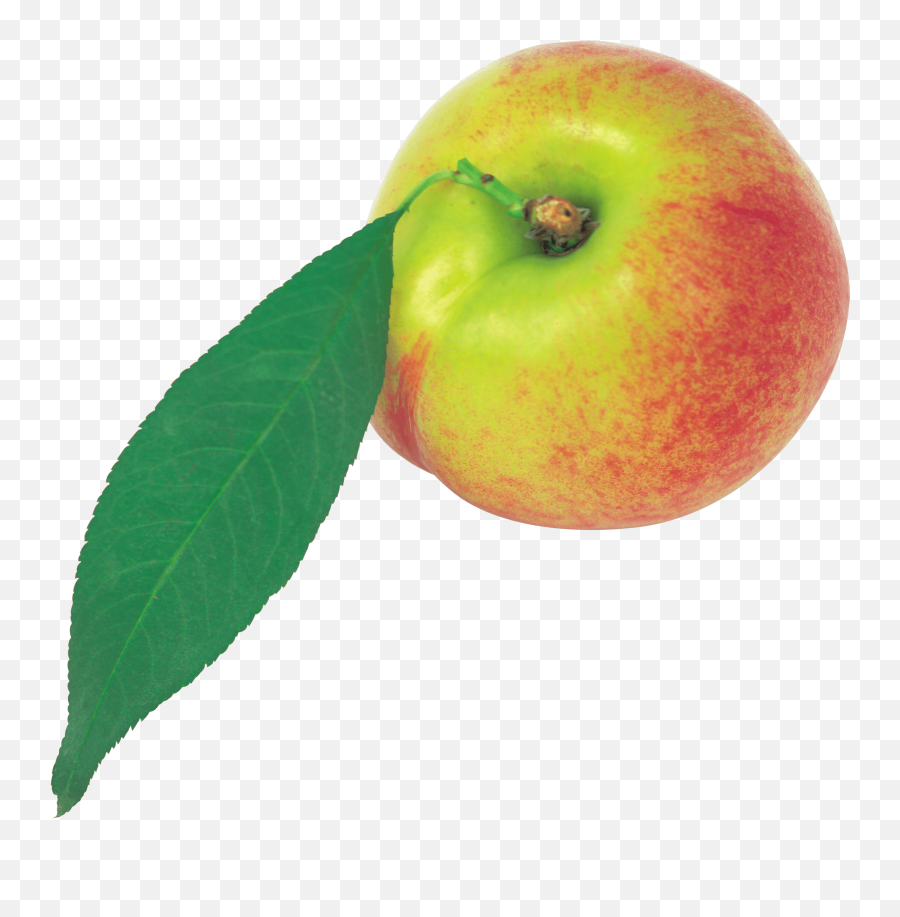 Download Peach Png Image Hq Png Image - Peach Emoji,Peach Eggplant Emoji