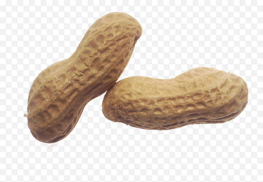 National Peanut Day Clip Art From Peanut To Peanut Butter - Transparent Peanut Clipart Emoji,Peanut Emoji