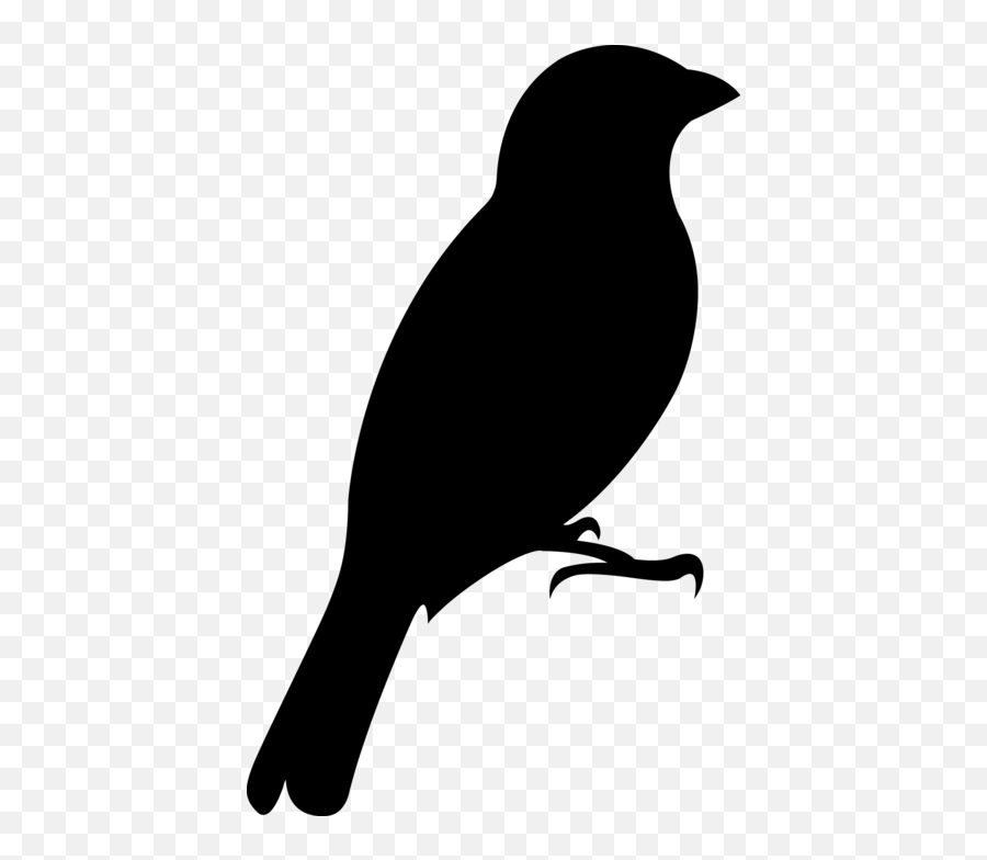 Concert Clipart Wind Band Concert Wind - Perching Bird Emoji,Oriole Emoji