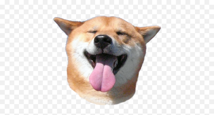 Picture - Shibe Png Emoji,Doge Emoticon