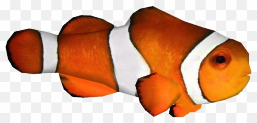 Clip Art Clownfish Image Portable - Transparent Background Clownfish Png Emoji,Clown Fish Emoji
