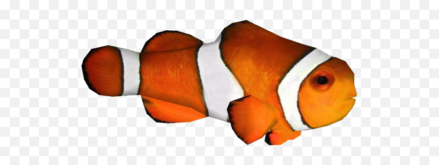 Clip Art Clownfish Image Portable - Transparent Background Clownfish Png Emoji,Clown Fish Emoji
