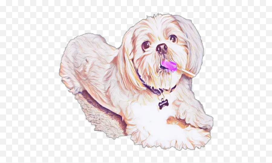 Lollipops Stickers For Whatsapp - Lhasa Apso Emoji,Maltese Emoji