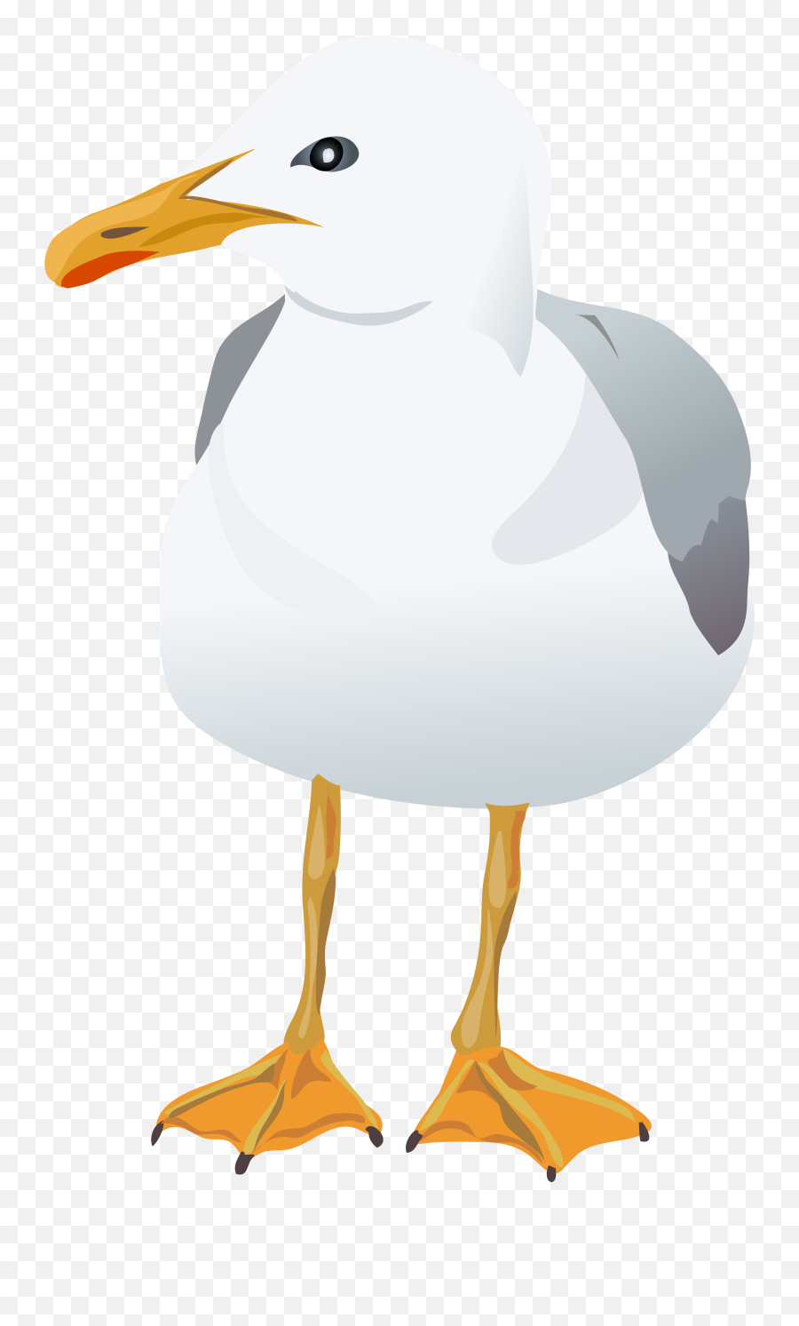 Seagull Clipart Png - Laughing Gull Emoji,Seagull Emoji