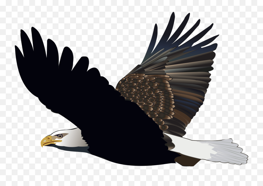 Eagle In Flight Clipart - Gambar Burung Elang Png Emoji,Eagle Emoji